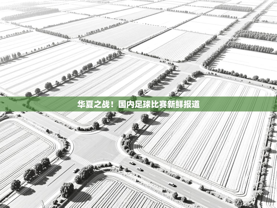 华夏之战！国内足球比赛新鲜报道  第2张