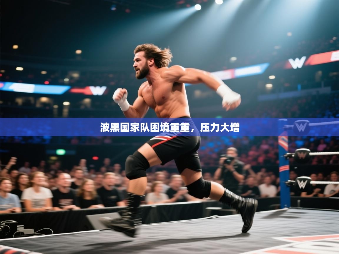 波黑国家队困境重重,压力大增 第1张