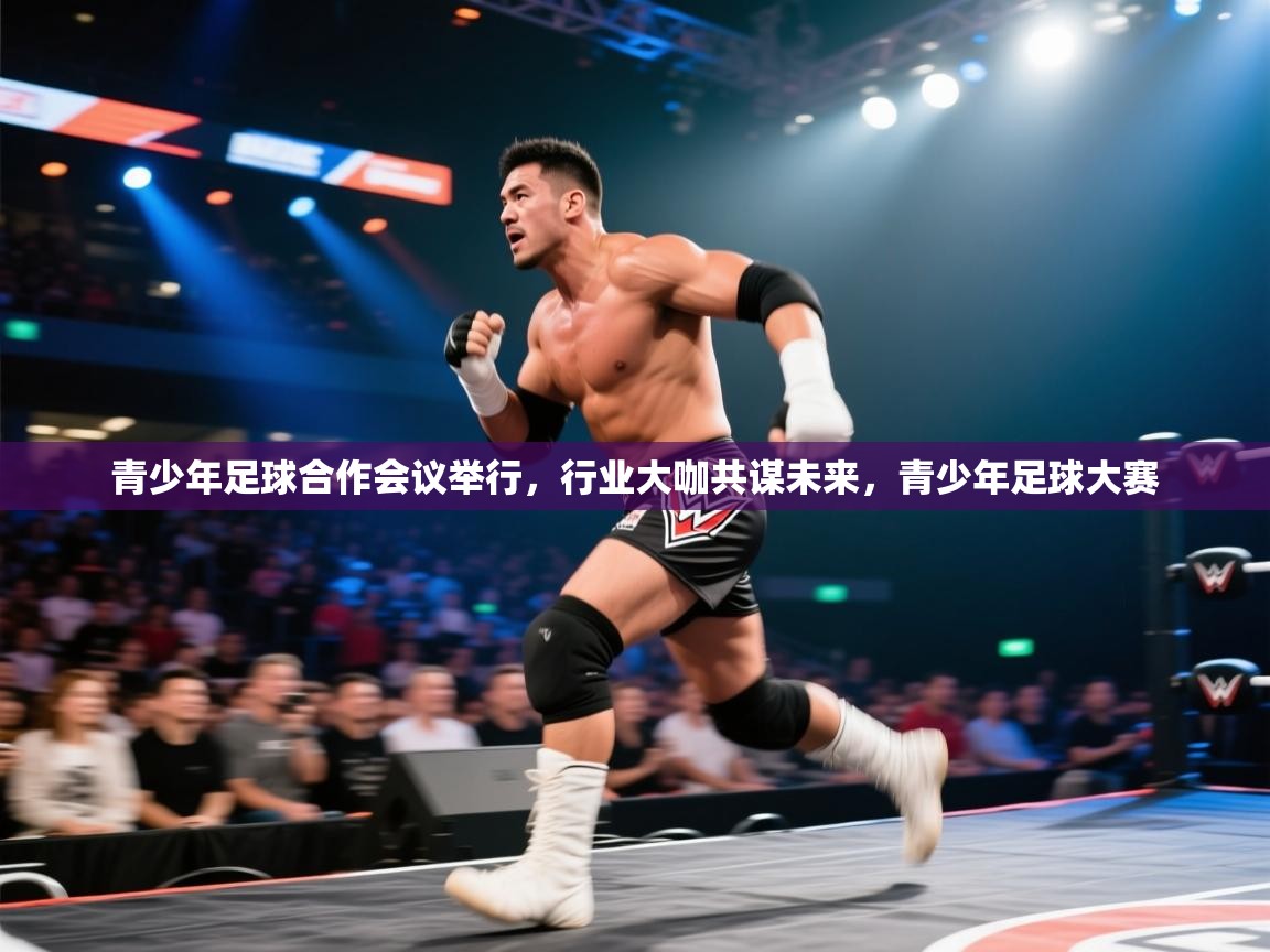 青少年足球合作会议举行,行业大咖共谋未来,青少年足球大赛 第2张